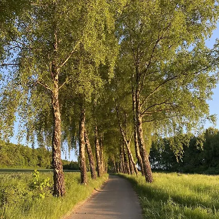 Haus 20 Im Ferienpark, Aktiv Und Entspannt Zugleich Radeln, Wandern Und Geniessen Semesterbostad Nieheim