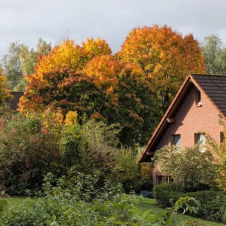 بيت للعطل Haus 20 Im Ferienpark, Aktiv Und Entspannt Zugleich Radeln, Wandern Und Geniessen *